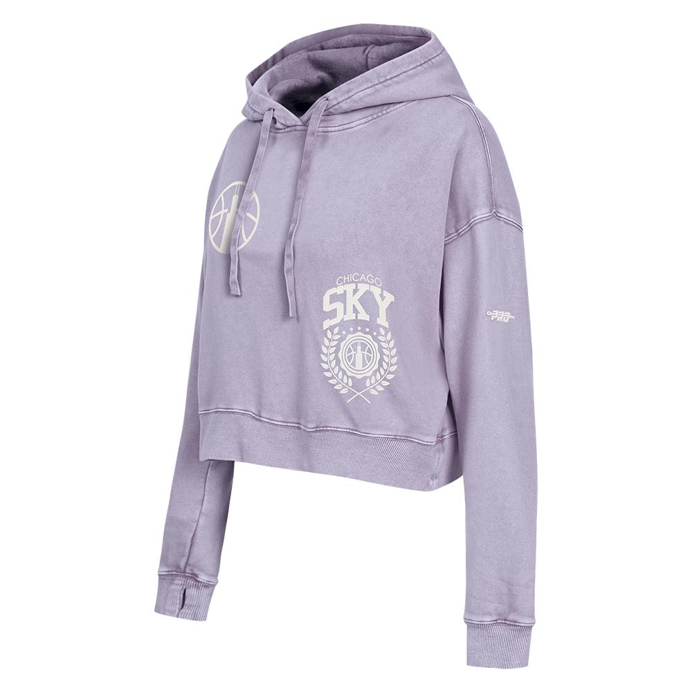 Pro Standard x Sky Street Team Wash Cropped Hoodie