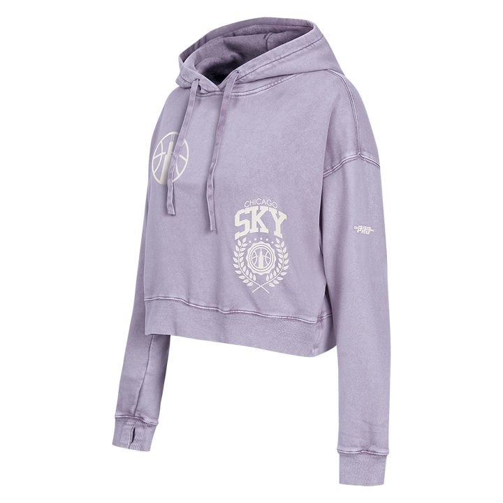 Pro Standard x Sky Street Team Wash Cropped Hoodie