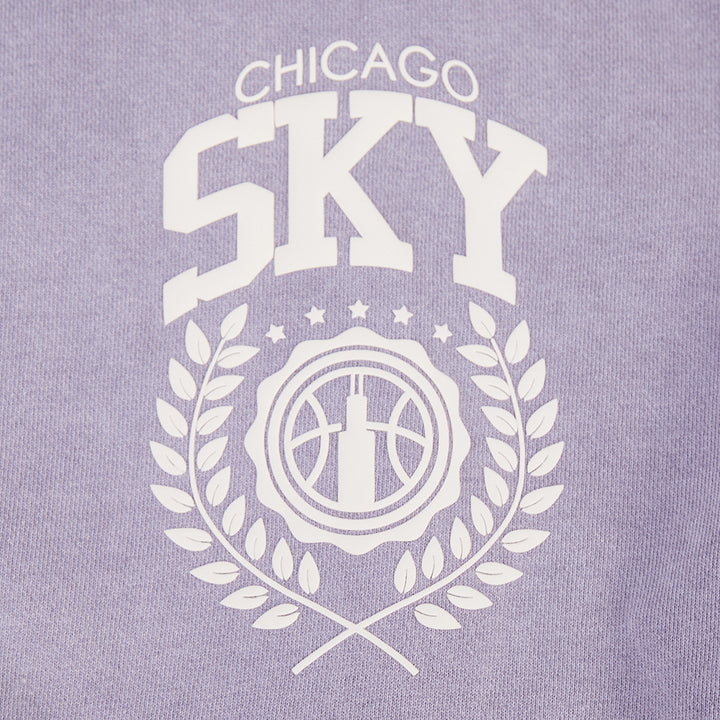 Pro Standard x Sky Street Team Wash Cropped Hoodie